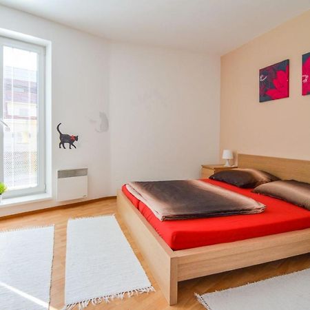 Apartman U Kostela Destne v Orlickych horach Eksteriør bilde