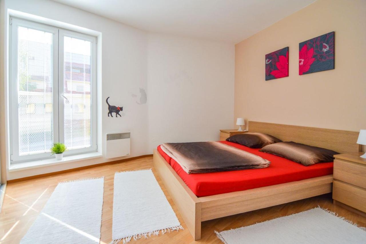 Apartman U Kostela Destne v Orlickych horach Eksteriør bilde